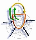 free_course