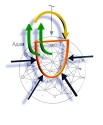 Tom1_sb_copy