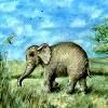 Сказка о непослушном слоненке
