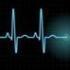 Жизнь и смерть