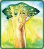 The Baobab that Opened Its Heart - drawing 1