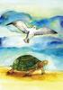 The Seagull Who Wanted to Be a Turtle - drawing 2
