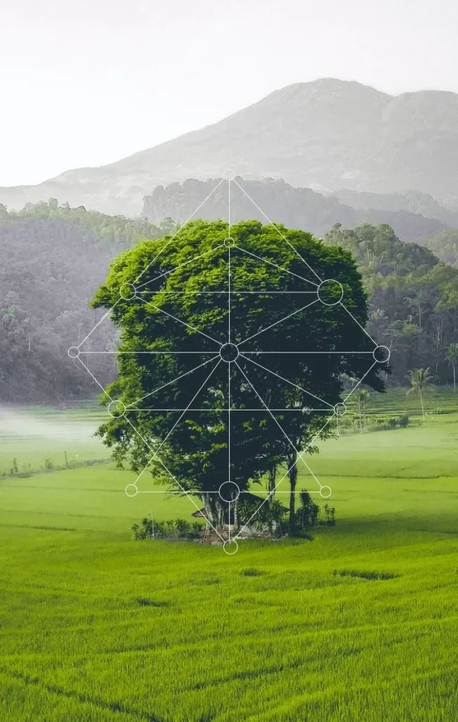 Lone green tree in lush field under foggy sky, mountains behind, with geometric overlay.