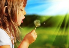 shutterstock_23954992