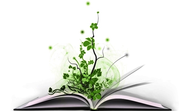 shutterstock_2912967