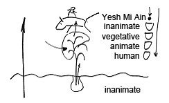yeshmiain