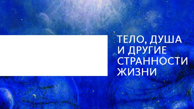 Тело, душа и другие странности жизни