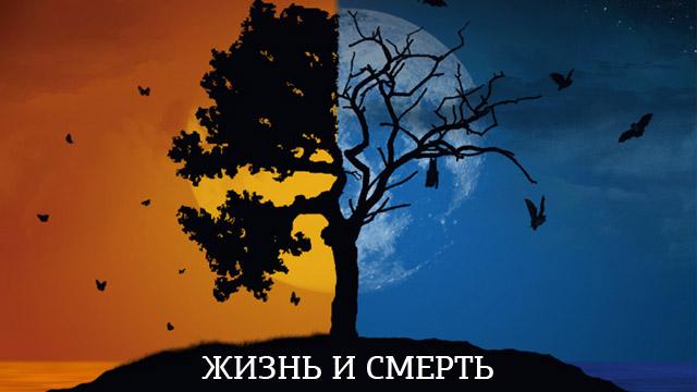 Жизнь и Смерть