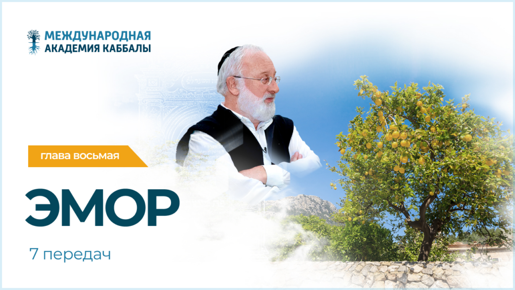 Тайны вечной книги. Эмор