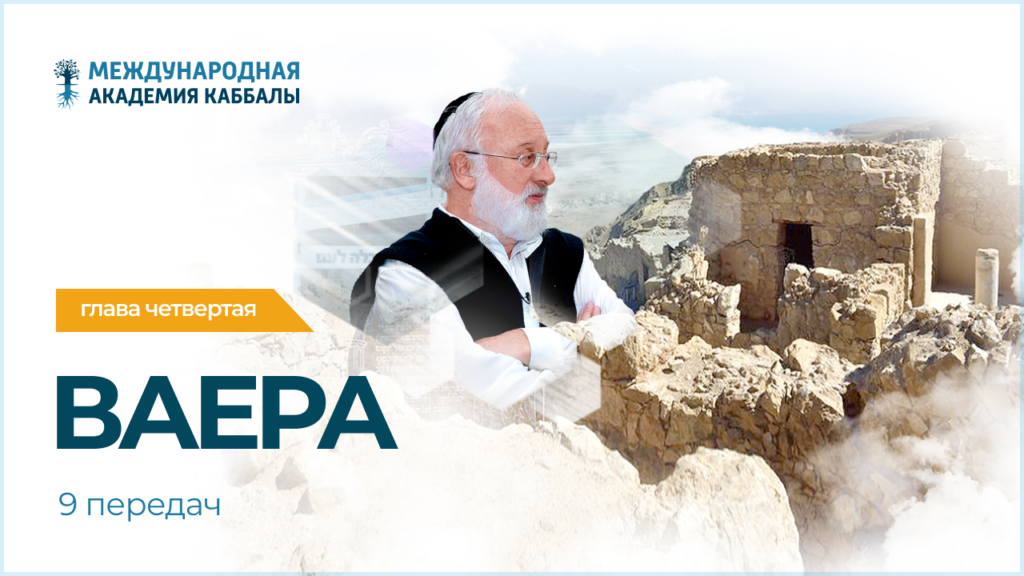 Тайны вечной книги. Ваера