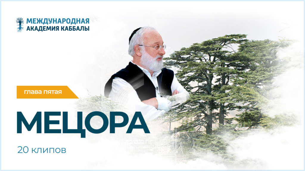 Тайны вечной книги. Мецора (фрагменты передач)