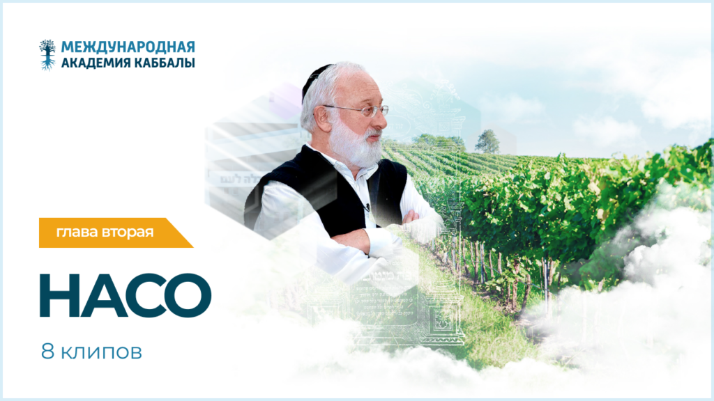 Тайны вечной книги. Насо (фрагменты передач)