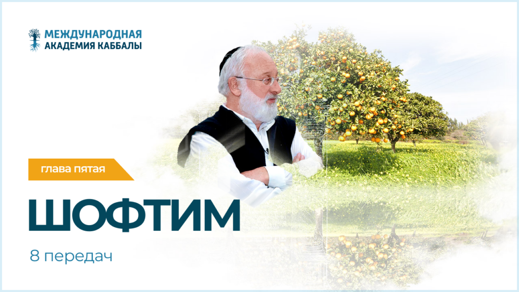 Тайны вечной книги. Шофтим