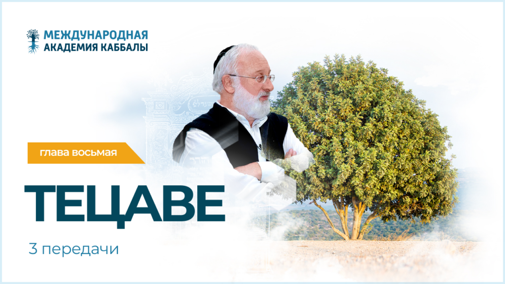 Тайны вечной книги. Тецаве