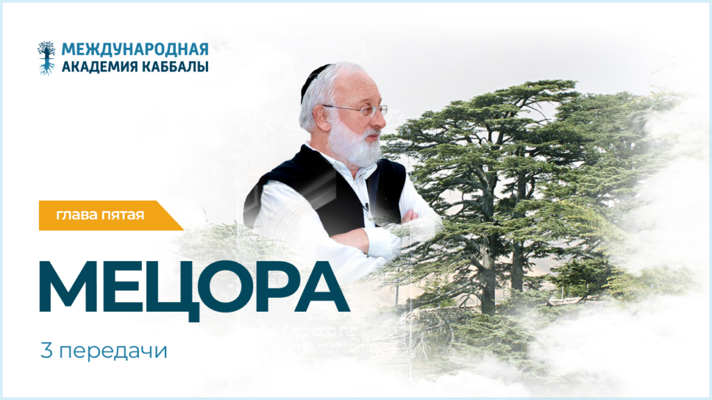 Тайны вечной книги. Мецора