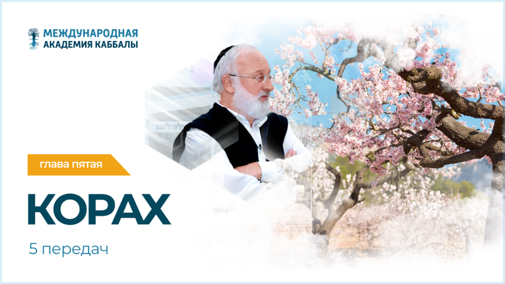 Тайны вечной книги. Корах