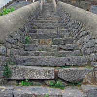 Начало истории: эпоха "природного" эгоизма