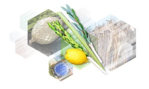 Люди интересуются что несет в себе еврейская культура +и традиции. На картинке изображены атрибуты праздника Суккот.