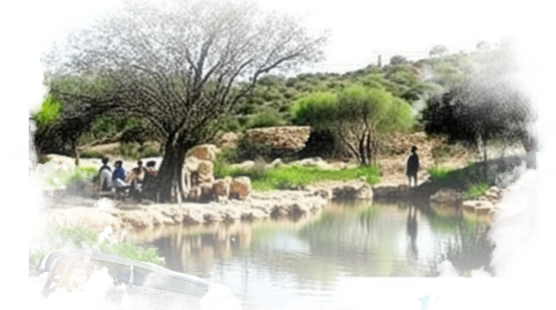 Музей Эйн Яэль