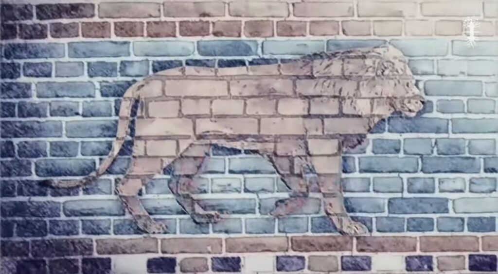 стоп-кадр лев