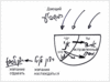 Статья "Помощь, которую оказывает Тора в духовной работе", урок 4 июля 2006 г. - рис. 2