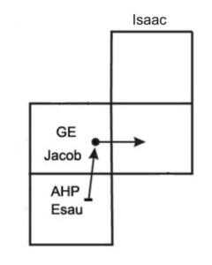 Typed Text Article "Shabbat Shekalim" - Drawing No. 1