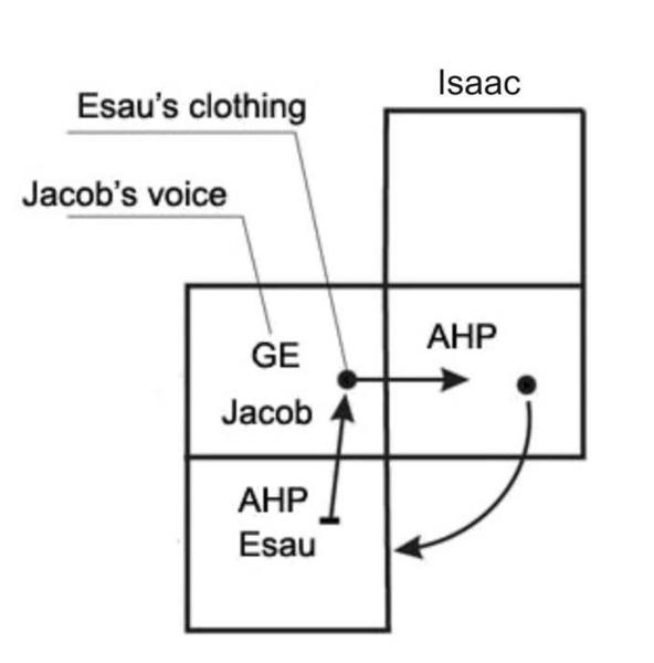 10/21/2008: Typed Text Article 