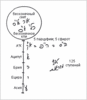 Предисловие к «Введению в науку каббала», урок 2 - рис. 3