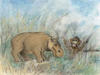 The Little Hippo - drawing 3