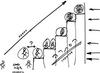 "Мир в эпоху глобализации и кризиса", урок 28 октября 2008 г. - рис. 7