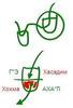 Статья  "Что такое радость?" ("Даргот Сулам", №507), урок 18 марта 2011 г. - рис. 09-2