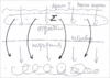 Курс "Основы природы человека", урок 2 марта 2008 г. - рис. 4