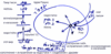 Статья «Из себя узрю Творца», урок 2, 20 февраля 2006 г. - рис. 3