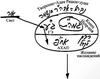 Статья «Дарование Торы», урок 2, 27 октября 2005 г. – рис. 1