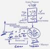 Статья «Свобода воли», урок 2, 15 августа 2005 г. – рис. 3
