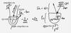 Статья «Свобода воли», урок 5, 18 августа 2005 г. – рис. 2