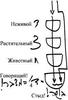 Статья «Любовь к Творцу и творениям», урок 3, 9 января 2006 г. – рис. 4