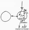 Статья "Наука Каббала и ее суть", урок 13, 8 декабря 2005 г. - рис. 1
