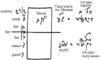 Статья «Прямое и косвенное воздействие Творца», урок 5, 9 февраля 2006 г. – рис. 2