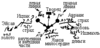 Статья «Прямое и косвенное воздействие Творца», урок 5, 9 февраля 2006 г. – рис. 6