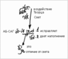Статья "Препятствия и помехи", урок 23 марта 2007 г. - рис. 6