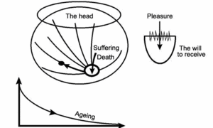 Article "Love for the Creator and Love for the Created Beings" lesson 4, drawing No.8
