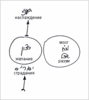 Статья "Свобода воли", урок 29 июня 2007 г. - рис. 1