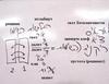 Введение в науку каббала, урок 2 августа 2002 г. - рис. 9