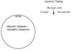 Книга «Каббала для начинающих». Том 1. Раздел III. Глава 8 «Развитие желания» – рис. 8.1