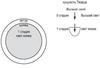 Книга «Каббала для начинающих». Том 1. Раздел III. Глава 8 «Развитие желания» – рис. 8.2